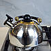 Чайник з свистком Peterhof 3 л SN-2009 з нержавіючої сталі для газу, фото 3