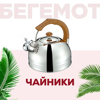 Чайники