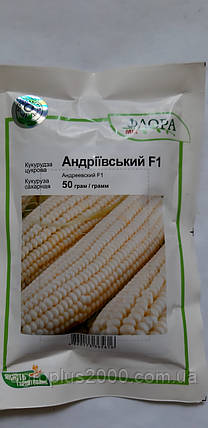 Насіння Кукурудза цукрова Андріївський F1, 50 грамов МНАГІР Агропак, фото 1