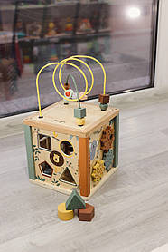 Дерев'яний дитячий бізікуб FreeON