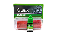 Глюма 2бонд (Gluma 2bond) 4мл