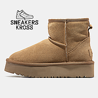 Ботинки UGG Classic Mini Platform Brown,Угги женские классические мини на платформе,замша,коричневый цвет