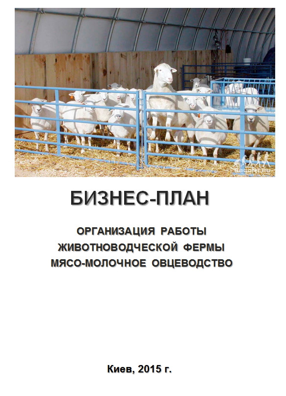Бізнес - план (ТЕО). Організація роботи тваринницької ферми. Вирощування овець. Вівчарство Баран на м'ясо курдючні породи