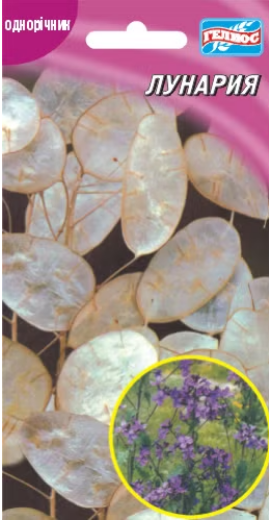 Лунарія 15 шт