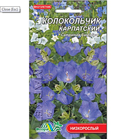 Колокольчик Карпатский, многолетнее растение, семена цветы 0.05 г