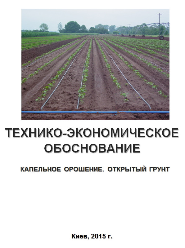 Бізнес – план (ТЕО). Вирощування овочів. Відкритий грунт. Крапельне зрошення. Картопля капуста перець цибуля морква буряк томат