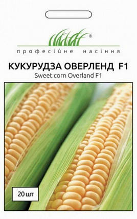 Насіння Кукурудзи Оверленд F1 20шт ТМ Професійне насіння, фото 1