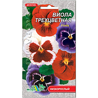 Віола Анютині вічка, дворічна рослина, насіння квіти 0.05 г