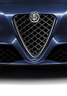 Решітка Scudetto карбон Alfa Romeo Giulia QV