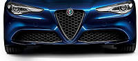 Решітка Scudetto карбонова Alfa Romeo Giulia Veloce