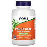 Кора мурашиного дерева, NOW Foods, Pau D' Arco, 500 мг, 250 рослинних капсул, фото 2