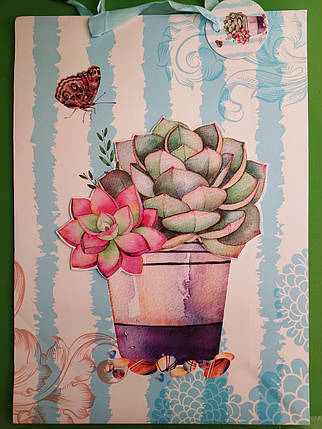 Канц Пакет WB /ML 6029 L/ ”Кактуси” 30*415*12см 210гр/м з глітером + аплік (12/360), фото 1