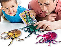 Заводной жук - скарбей, креативный шутник, анимированная модель насекомых