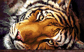 Набір для вишивання бісером Усурійський тигр 46х28 см Олександра Токарєва (2000001204696)