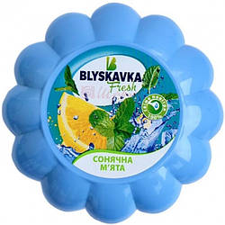 Гелевий освіжувач Blyskavka Fresh Сонячна М'ята, 1 шт.