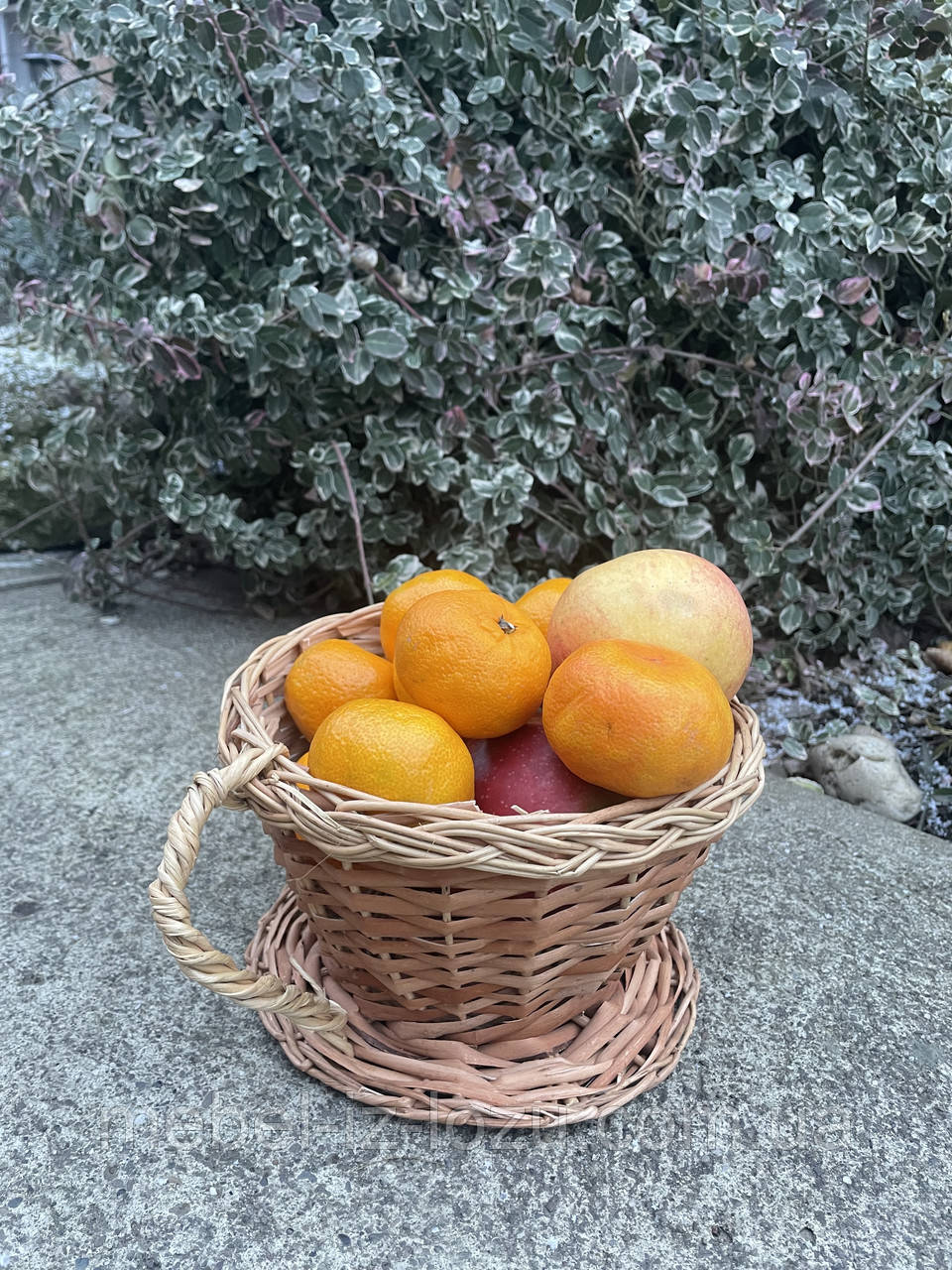 Чашка з лози, фото 1