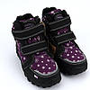 129/23фіол Термо черевики для дівчинки на липучках мембрана Softshell Tripletex тм American Club фіолетові, фото 9