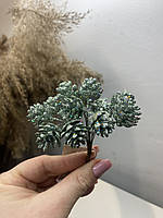 Декоративні міні-шишки 12 шт. в пучку, 12 см, колір - евкаліпт, Bona Di 839-327