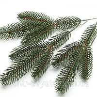 Гілочки ялинки