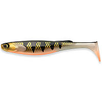 Приманка FishUp RAM Shad 8" (1шт.), #355 - Golden Pearch