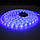 Світлодіодна стрічка UV SMD 5050 60 LED/m, IP20, ультрафіолетова, фото 6
