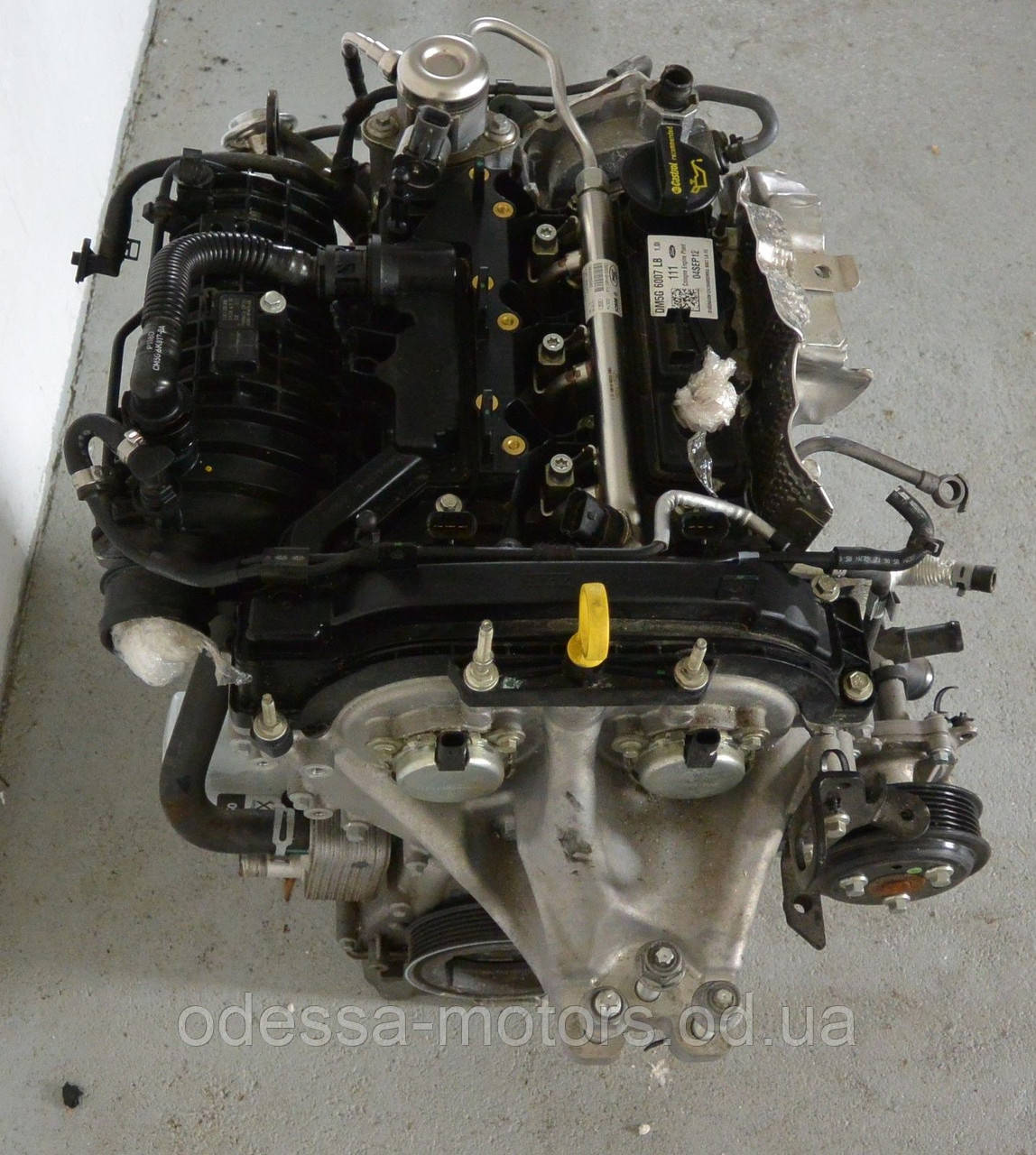 Двигатель Ford Tourneo Courier Kombi 1.0 EcoBoost, 2014-today тип мотора SFCA, SFCB, SFCC, SFCD - фото 1 - id-p362832661