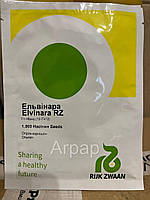 Огірок Ельвінара F1 1000 н