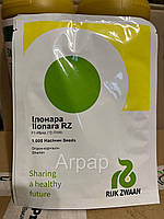 Ілонара F1 огірок партенокарпічний Rijk Zwaan 1 000 насінин