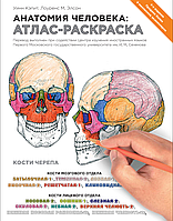 Анатомія людини: атлас-розмальовка