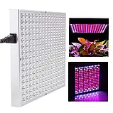 Фітолампа повного спектра для рослин APL2 Світіння 300W/споживання 45W/225 діодів, фото 7