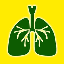 ЛЕГЕНІ БРОНХИ