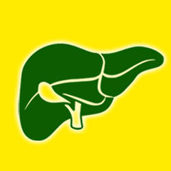 ПЕЧІНКА
