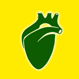 СЕРЦЕ ТА СУДИНИ