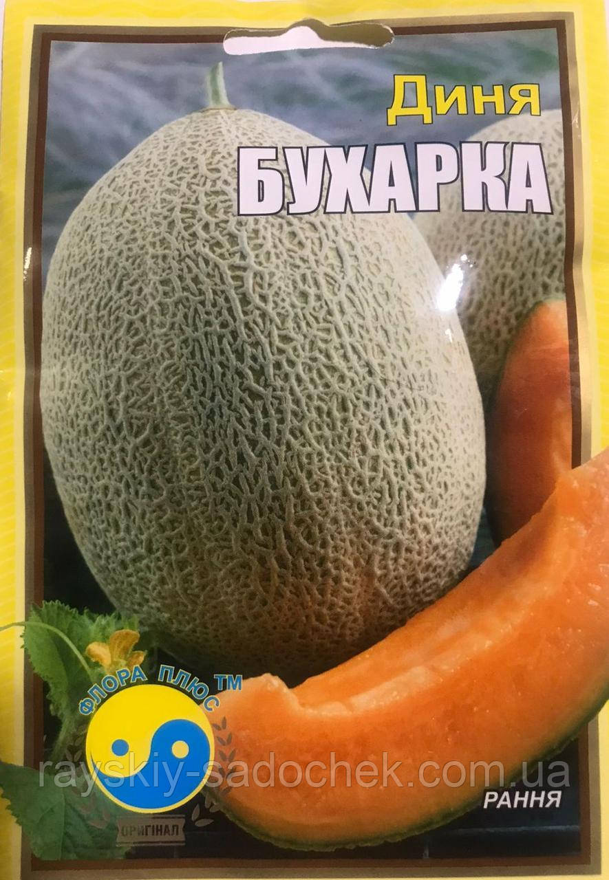 Насіння дині сорт Бухарка 5 г,Ранньостиглая., фото 1