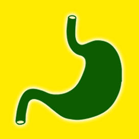 ШЛУНОК ТА ТРАВЛЕННЯ