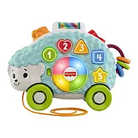 Каталка Fisher-Price Їжачок українською мовою (GXR63)