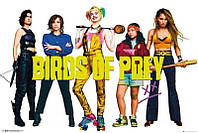 Birds Of Prey - Group (Постер)