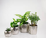 Горщик кашпо для квітів керамічний сірий великий, фото 2