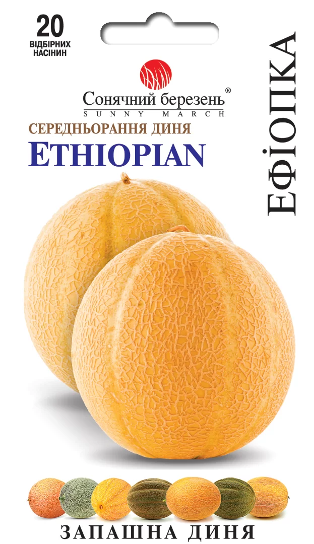 Насіння дині Ефіопка,20шт(середньорання)