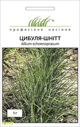 Насіння Цибуля шніт 1гр ТМ Професійне насіння ДАТА ДО 11.2024, фото 2