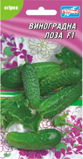 Огірок Виноградна лоза F1 20 шт