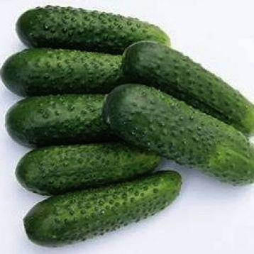 Насіння огірків Жоеліна F1, 1000 насінин, фото 2