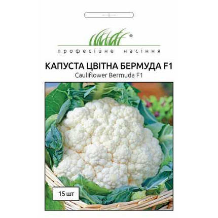 Насіння Капуста цвітна Бермуда F1 15шт ТМ Професійне насіння ДАТА ДО 11.2023, фото 2