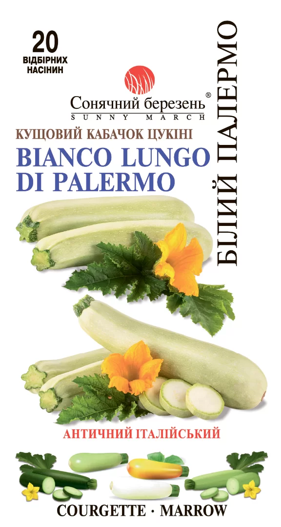 Насіння кабачка Білий Палермо.20шт