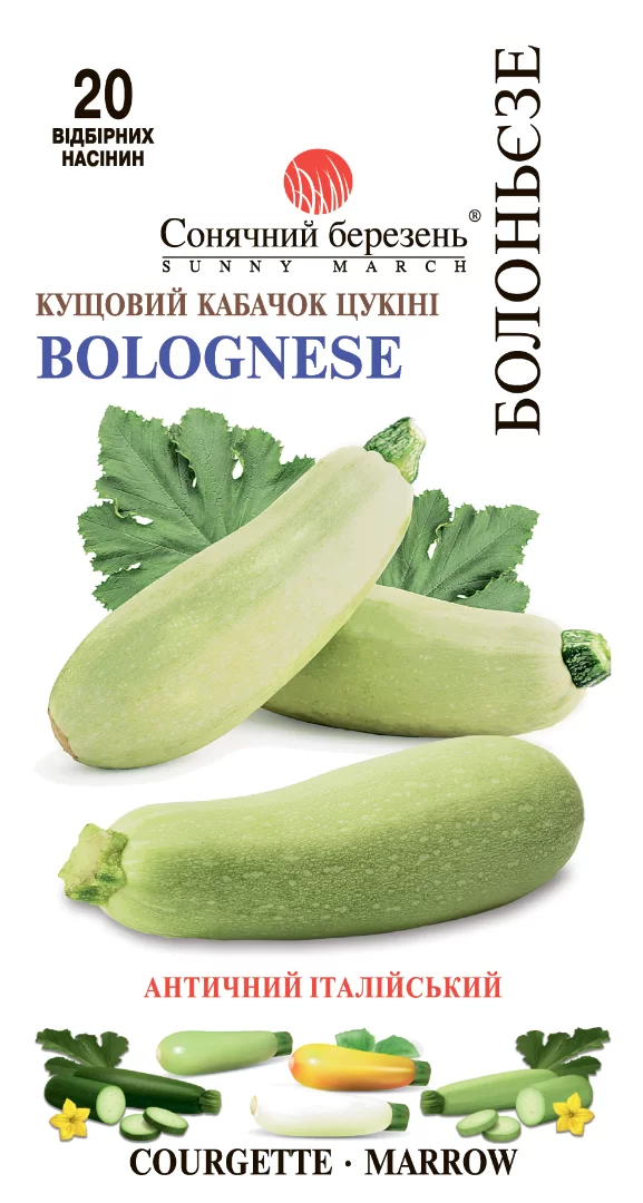 Насіння кабачка Болоньєзе,20шт