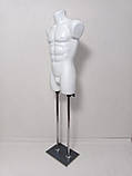 Чоловічий манекен "Давид" білий на ДВП підставці, фото 2