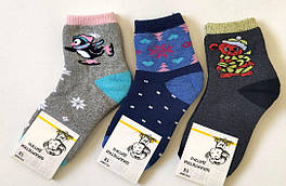 Шкарпетки дитячі Friendly Socks 4031018-003 сер. махра різні кольори р.18 (уп.12 пар)