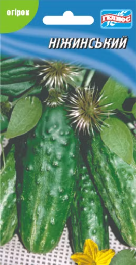 Огірок Ніжинський 12 40 шт