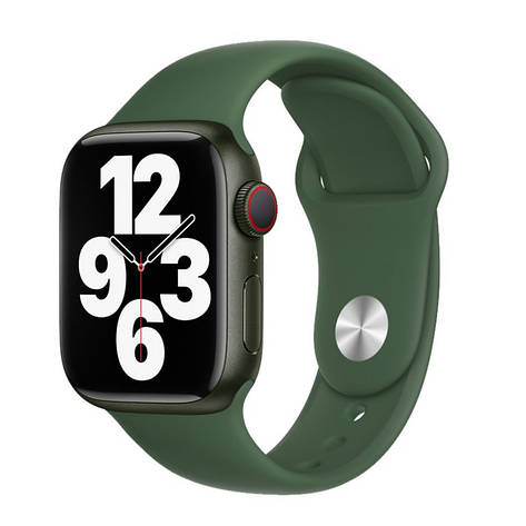 Ремінець для Apple Watch (38/40/41 mm) Silicone Pine green 50, фото 1