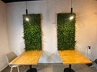Озелення інтер'єру Фітостіна, фото 10